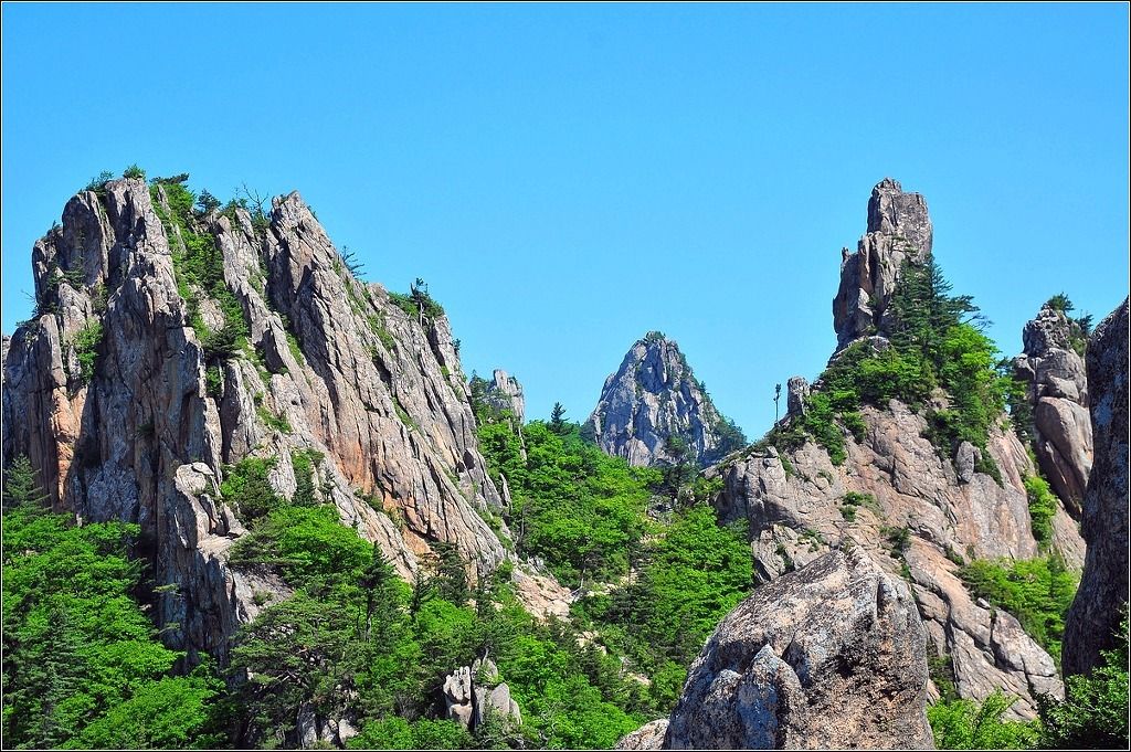 서재 풍수지리 - 학업운과 성공운을 부르는 비결