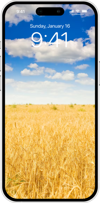 디지털 시대의 풍수, 당신의 스마트폰과 컴퓨터 바탕화면은 안녕하십니까?