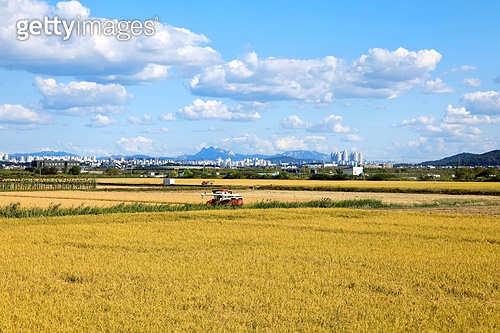강서구의 풍수지리: 김포평야의 풍요와 한강의 기운을 품다